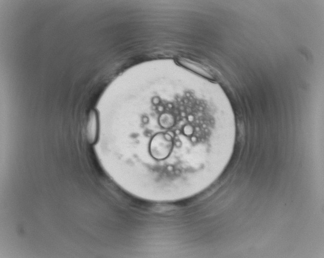 X0000115030617200911231114