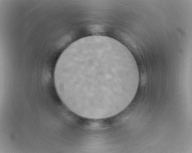 X0000115030618200911231114