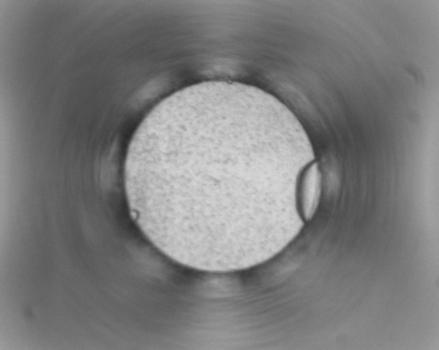 X0000115030619200911231114