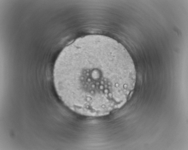 X0000115030620200911231114