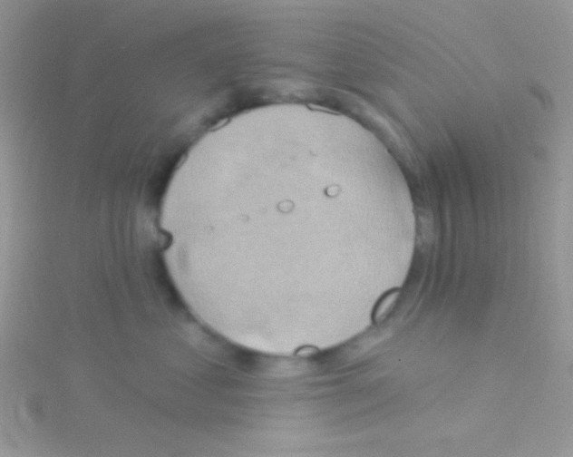 X0000115030621200911231114