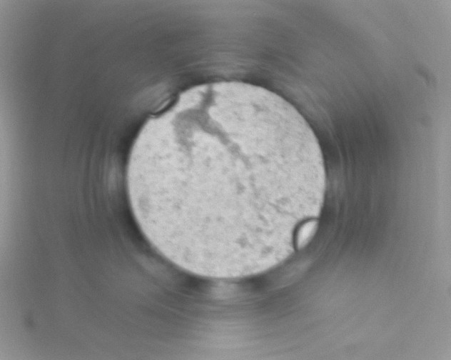 X0000115030623200911231114