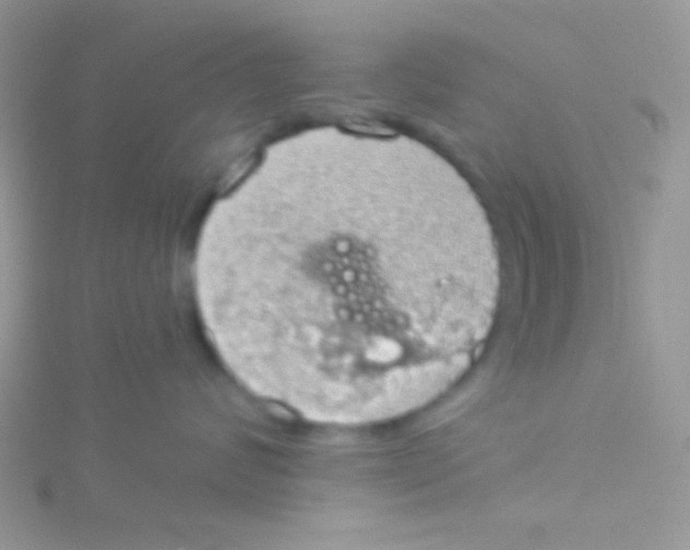 X0000115030624200911231114