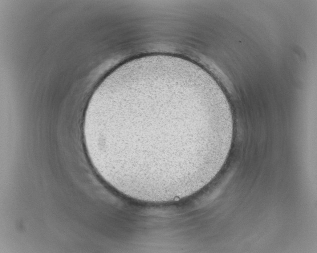 X0000115030625200911231113