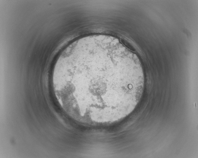 X0000115030626200911231113