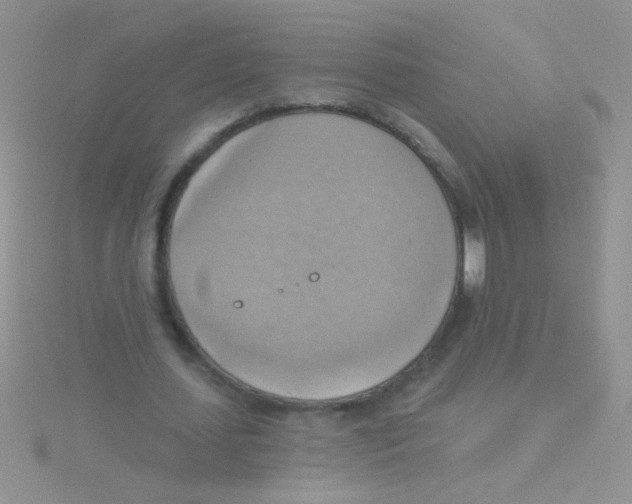 X0000115030627200911231113