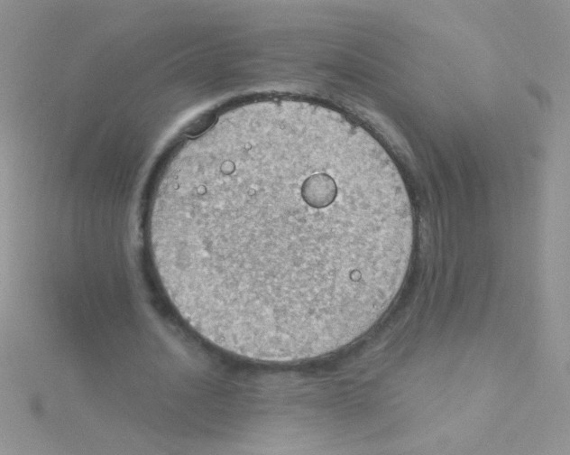 X0000115030628200911231113