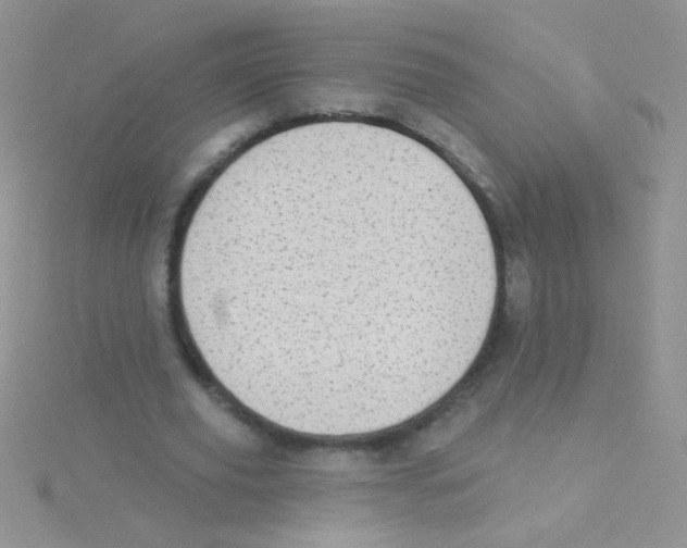 X0000115030629200911231113