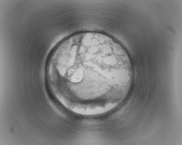 X0000115030630200911231113