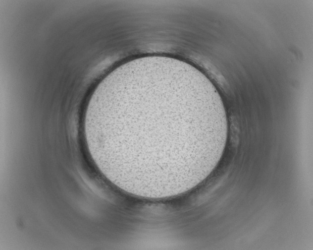 X0000115030631200911231113