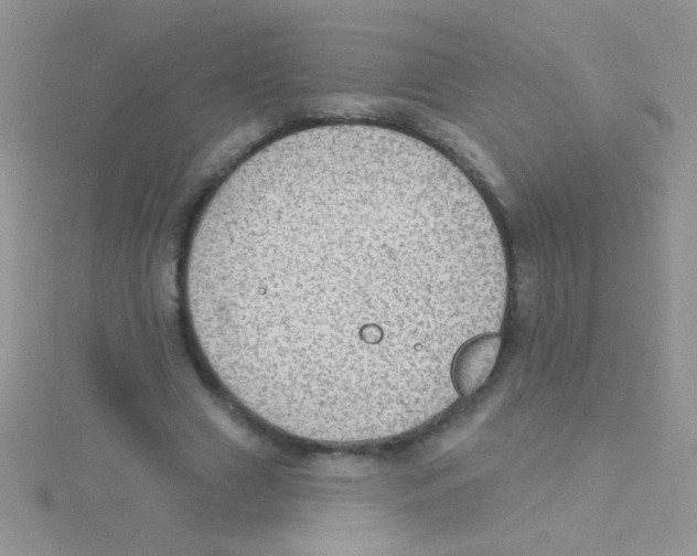 X0000115030633200911231113