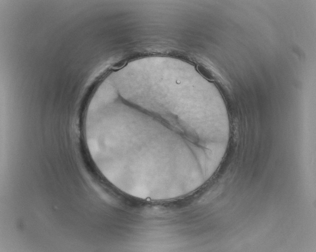 X0000115030634200911231113