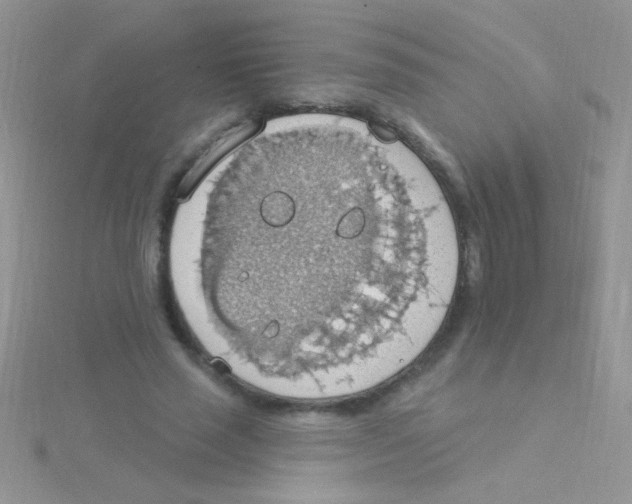 X0000115030637200911231113