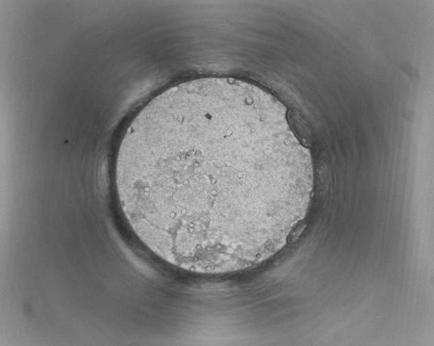 X0000115030638200911231113