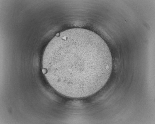 X0000115030639200911231113