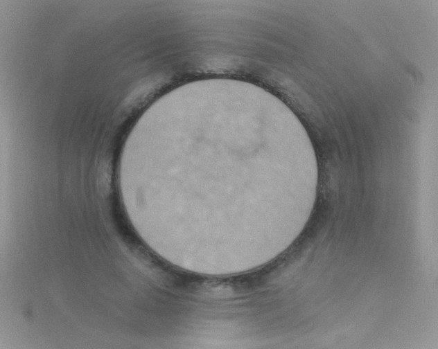 X0000115030640200911231113