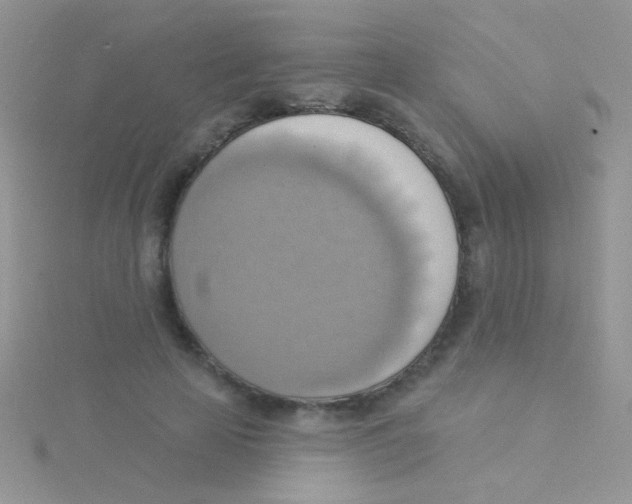 X0000115030641200911231113