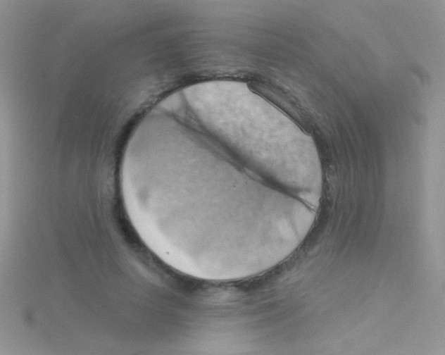 X0000115030642200911231113