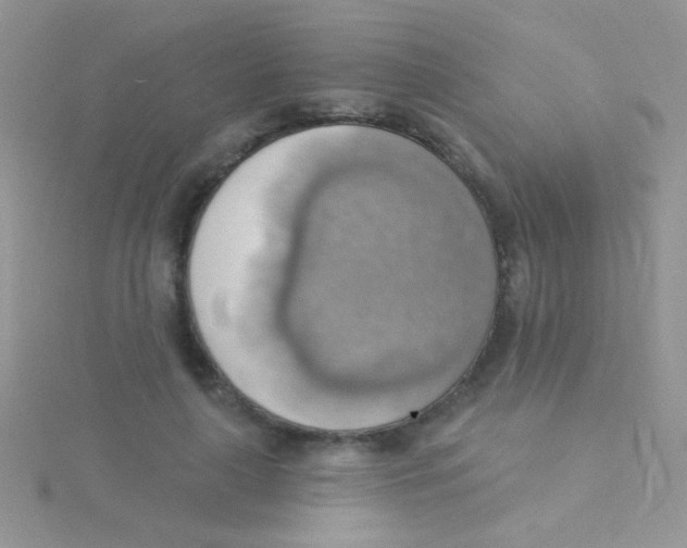 X0000115030643200911231113