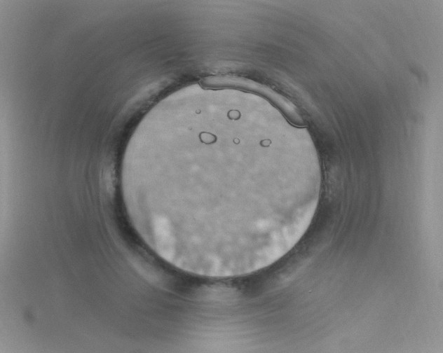 X0000115030644200911231113