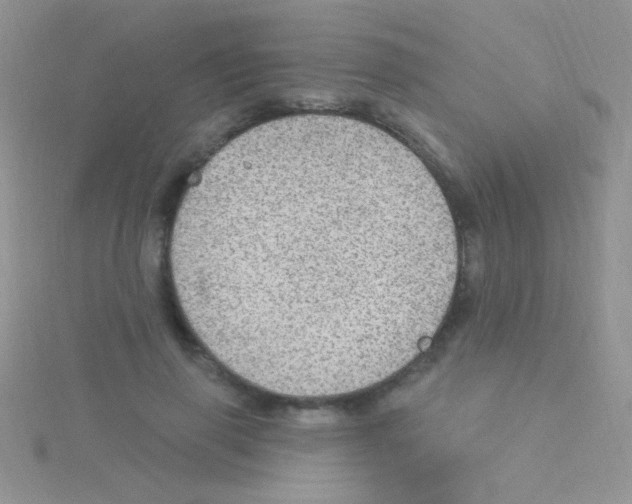 X0000115030645200911231113