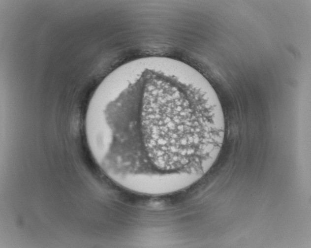 X0000115030647200911231113