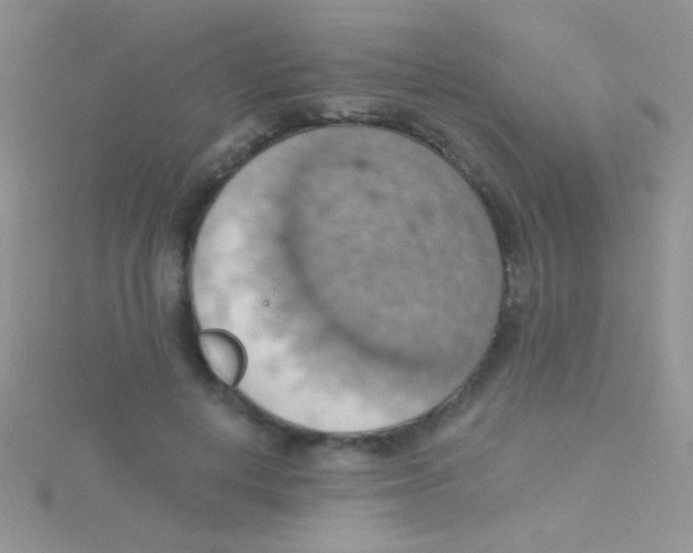 X0000115030648200911231113