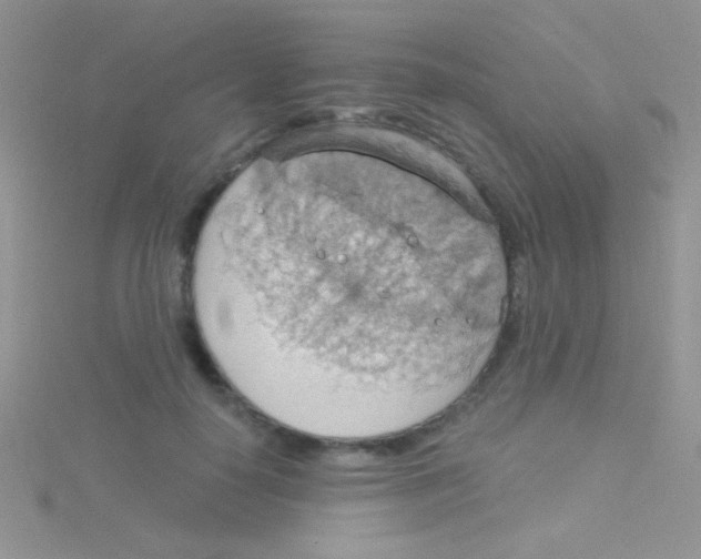 X0000115030650200911231113