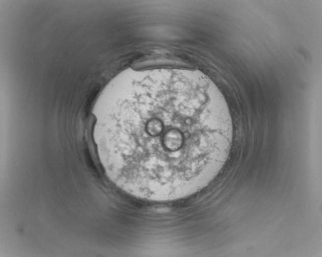 X0000115030651200911231113