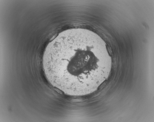 X0000115030653200911231113