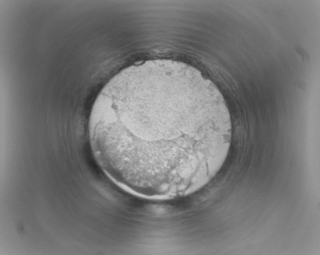 X0000115030654200911231113