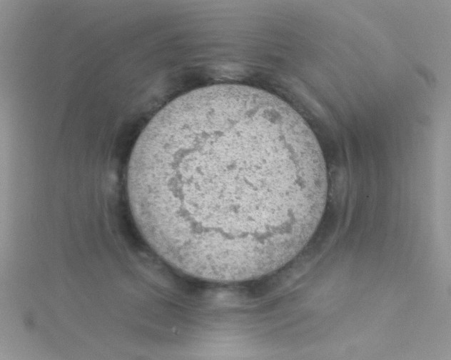 X0000115030655200911231113