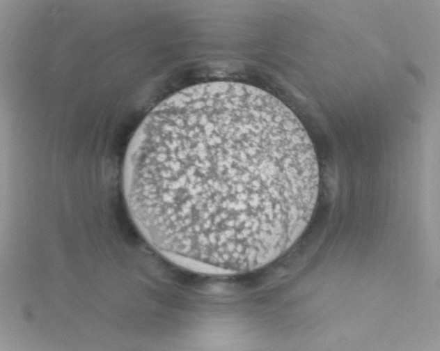 X0000115030657200911231113