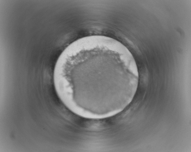 X0000115030661200911231113