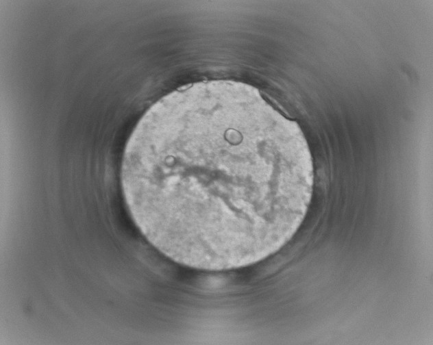 X0000115030662200911231113