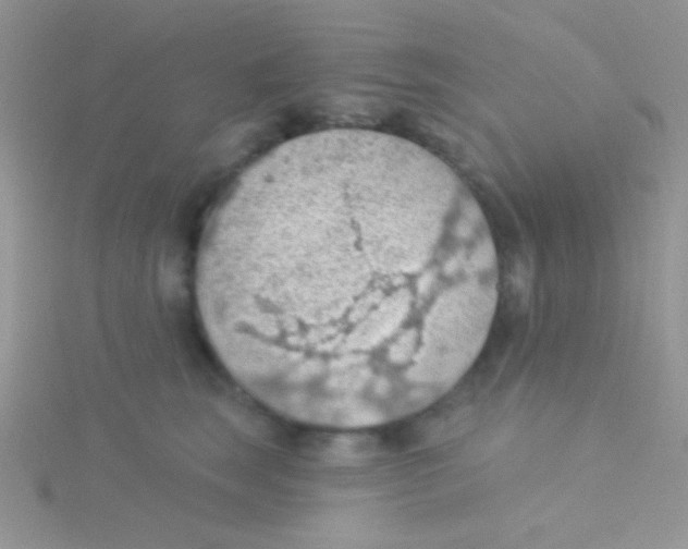 X0000115030663200911231114