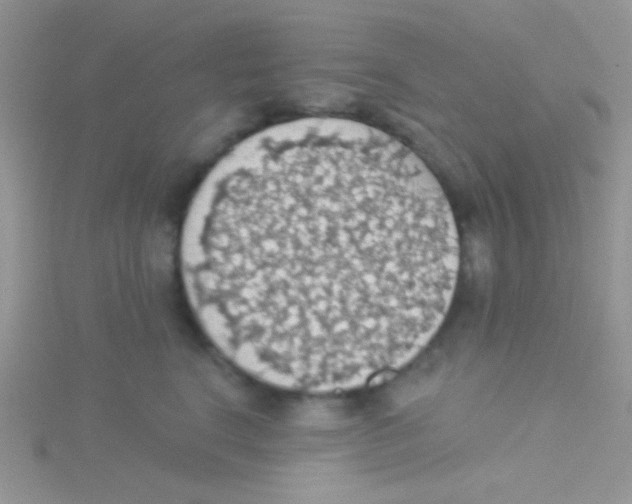 X0000115030664200911231114