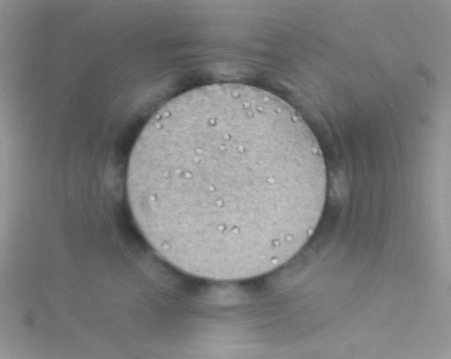 X0000115030666200911231114