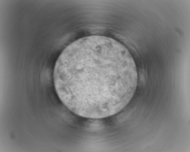 X0000115030667200911231114