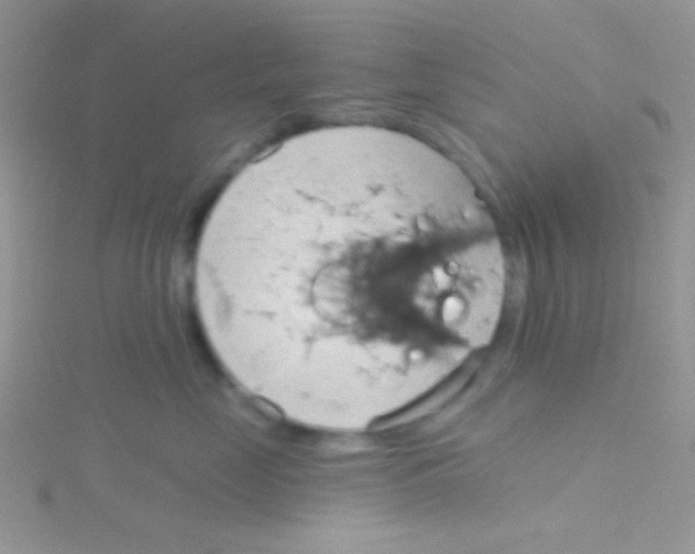 X0000115030669200911231114