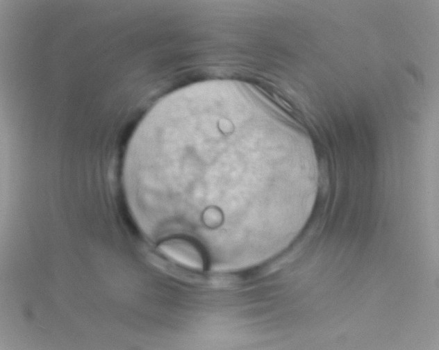 X0000115030670200911231114