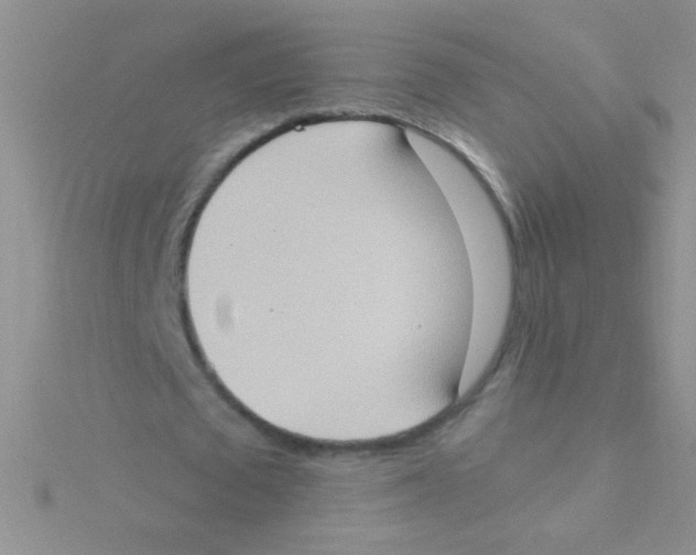 X0000115030673200911231113