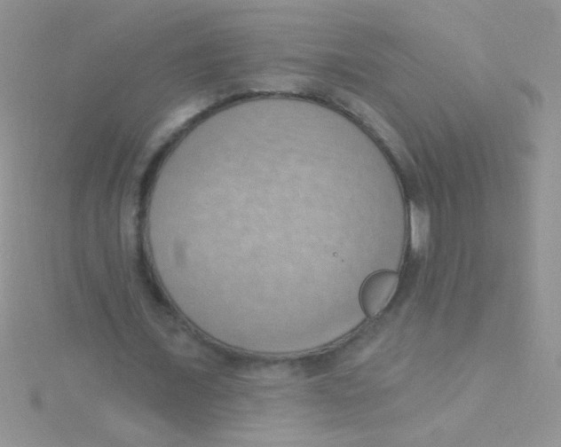 X0000115030675200911231113