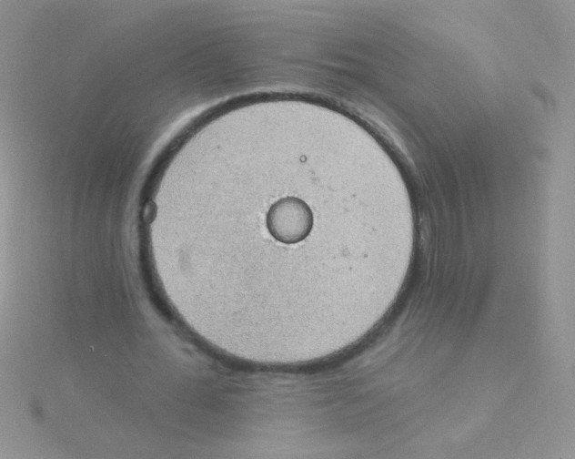 X0000115030676200911231113