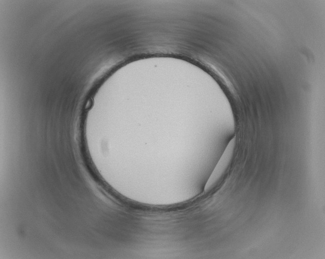 X0000115030677200911231113