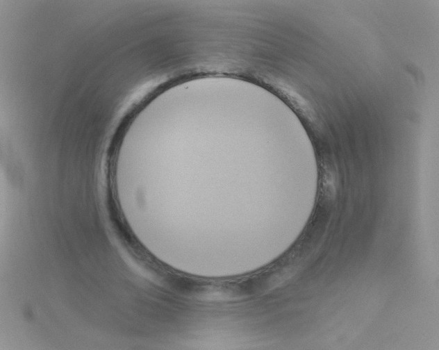 X0000115030678200911231113