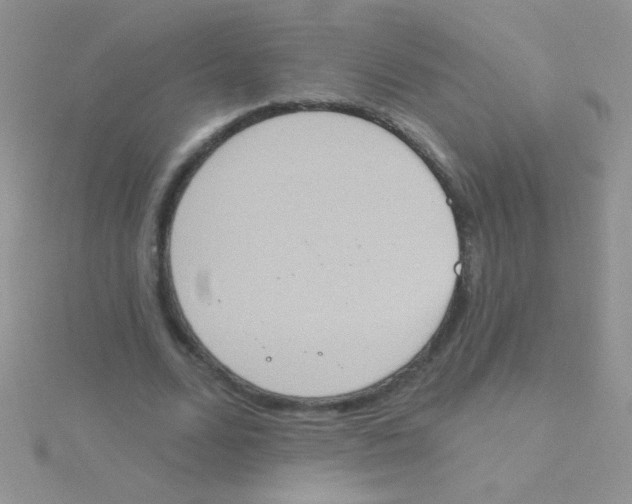 X0000115030680200911231113