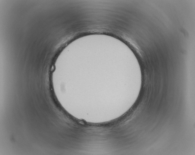 X0000115030681200911231113