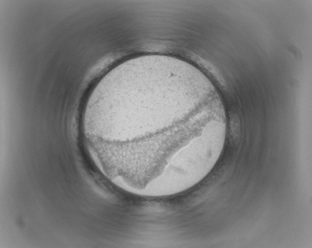 X0000115030682200911231113