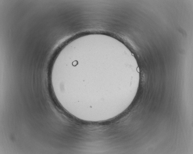 X0000115030684200911231113